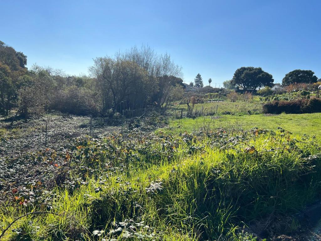 91 Alta Vista Avenue Property Photo 4