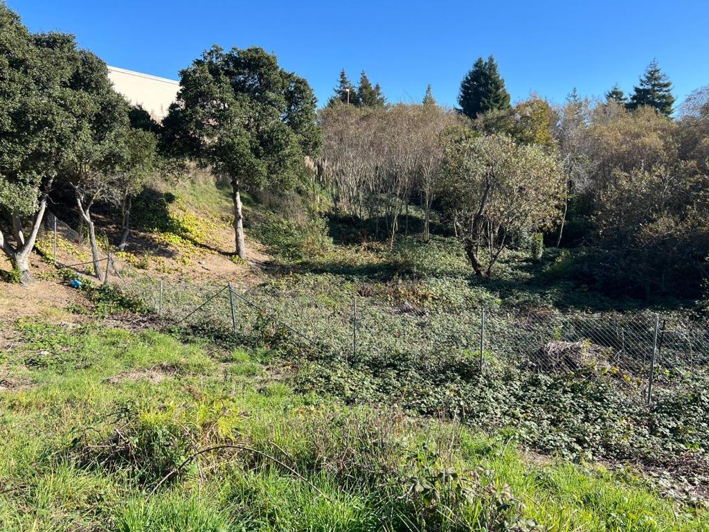 91 Alta Vista Avenue Property Photo 6
