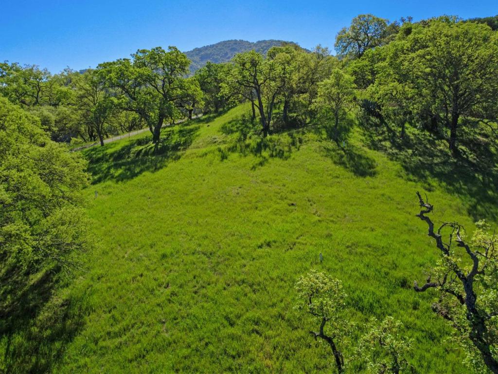 17556 Chesbro Lake Drive Property Photo 2
