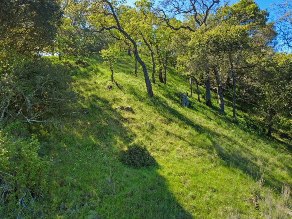 17556 Chesbro Lake Drive Property Photo 7