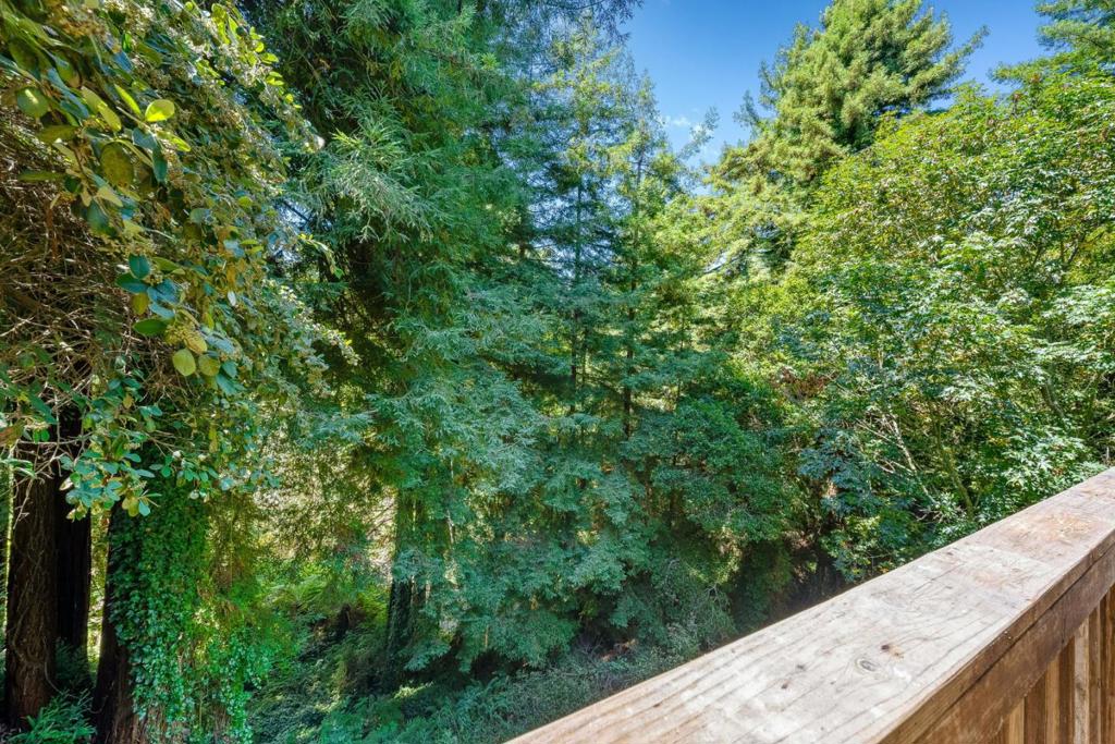 146 Aptos School Road Property Photo 30