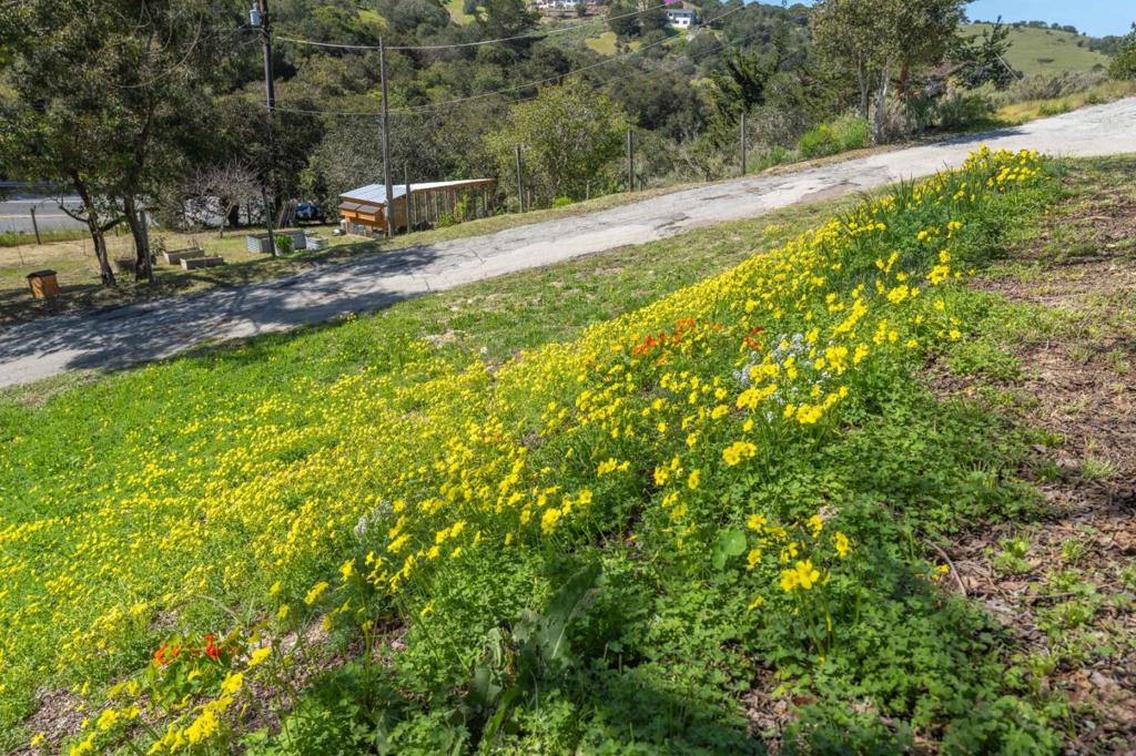 77 Laureles Grade Property Photo 28