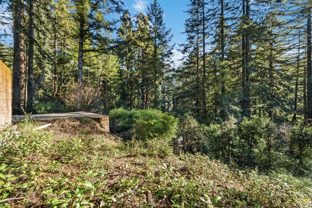 315 Alder Road Property Photo 12
