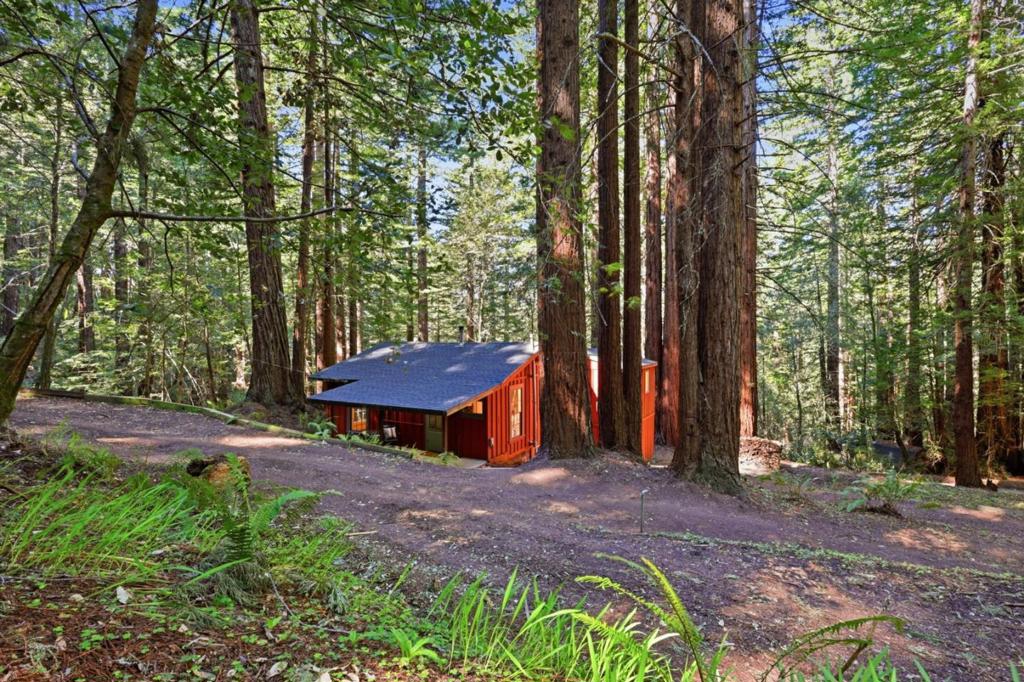 155 Native Sons Road Property Photo 21