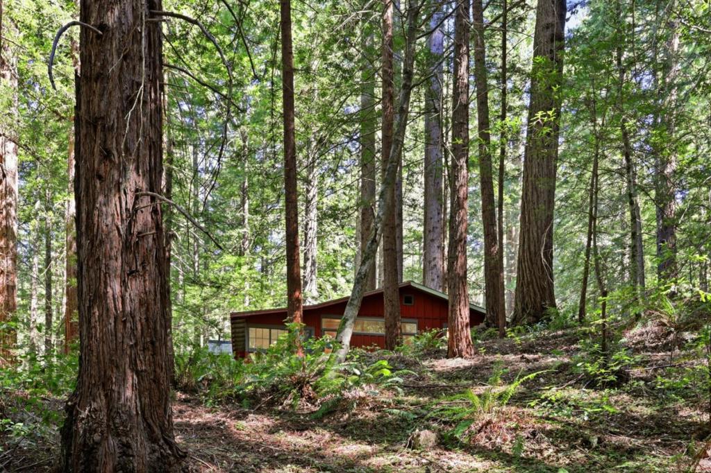 155 Native Sons Road Property Photo 39