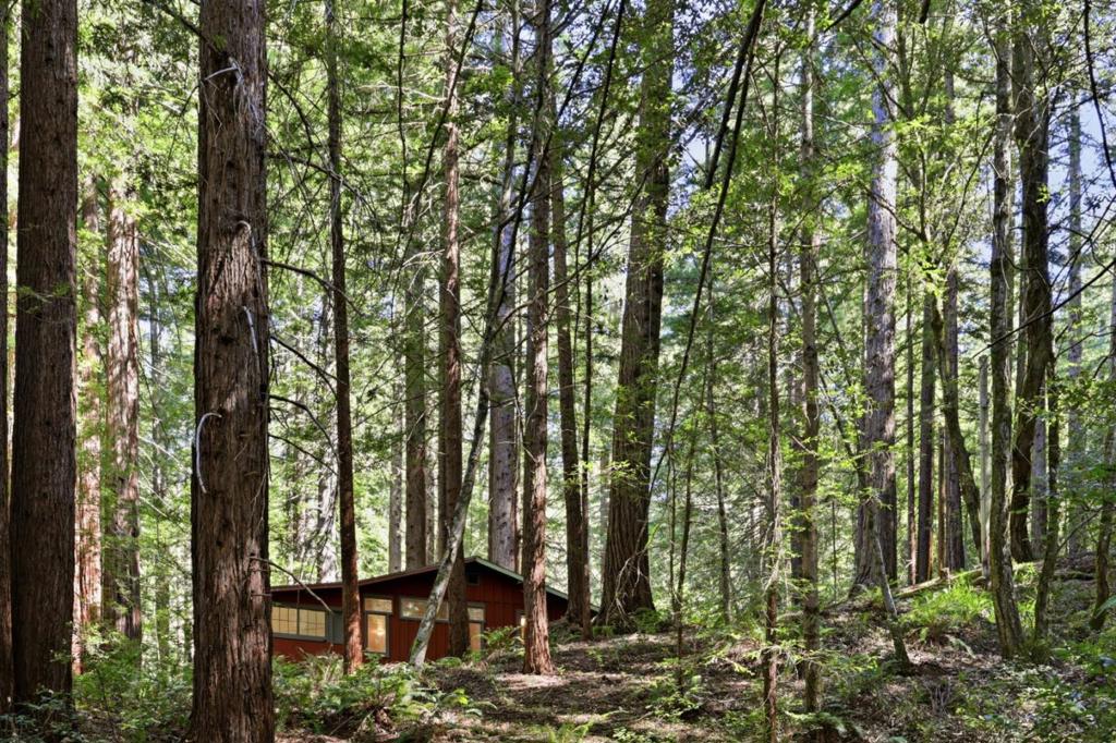 155 Native Sons Road Property Photo 40