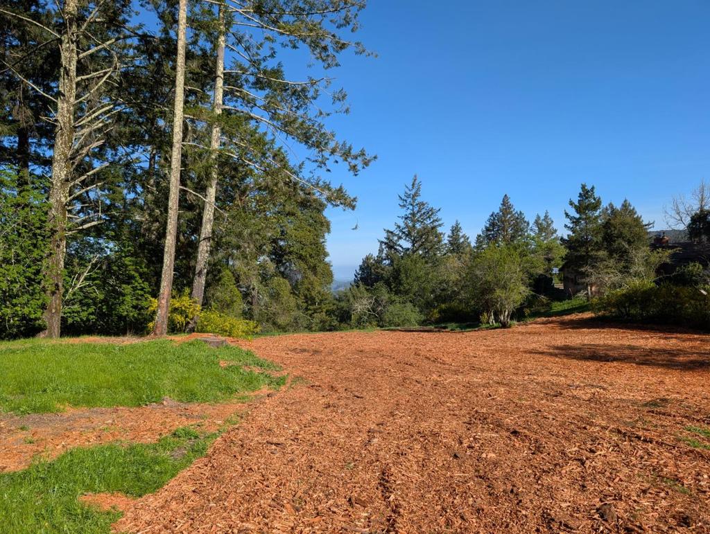 22065 Old Santa Cruz Highway Property Photo 12