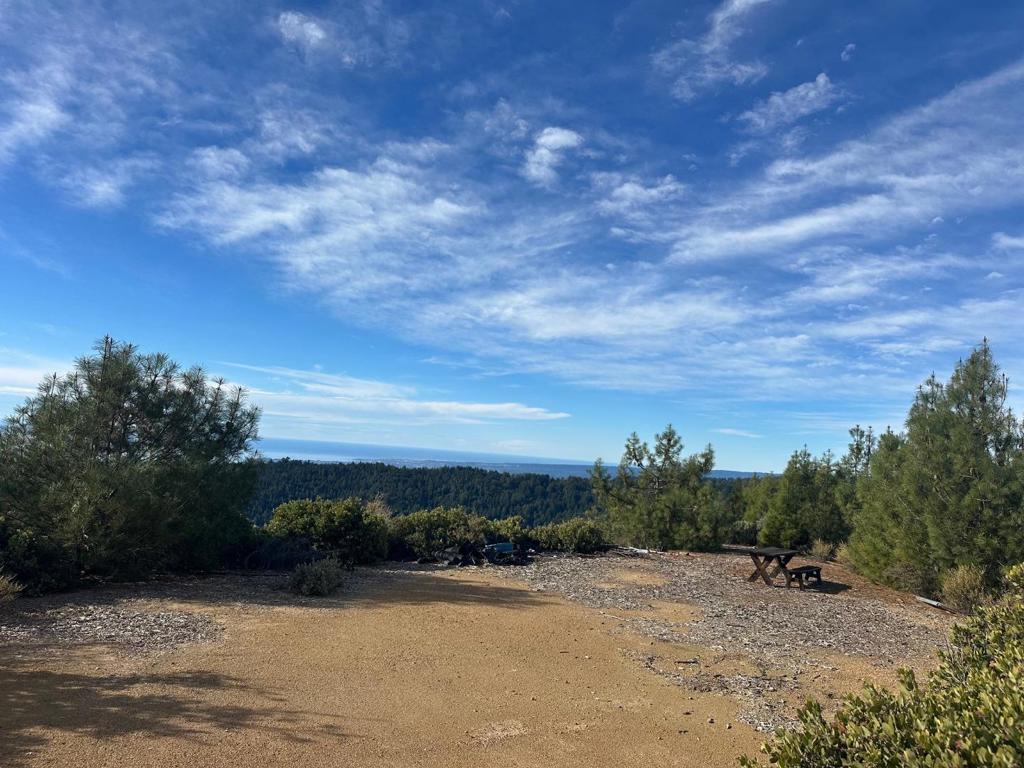 0 Ormsby Cutoff Property Photo 2