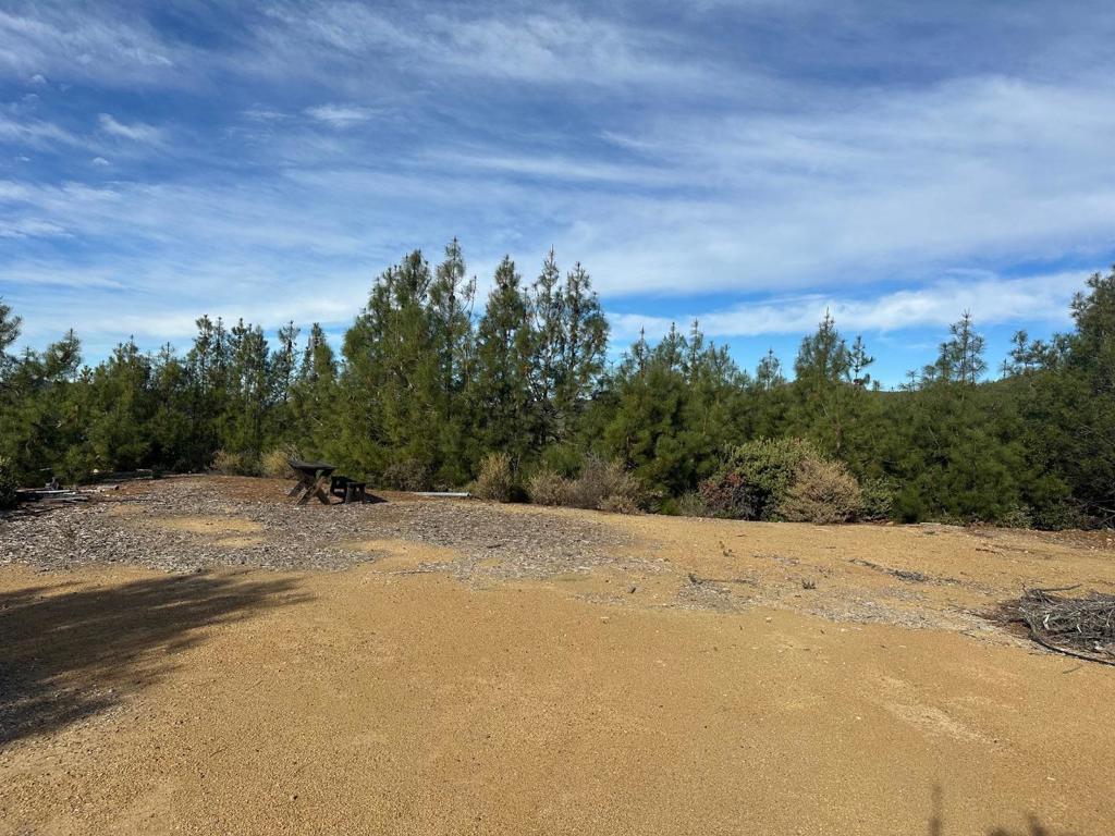 0 Ormsby Cutoff Property Photo 3