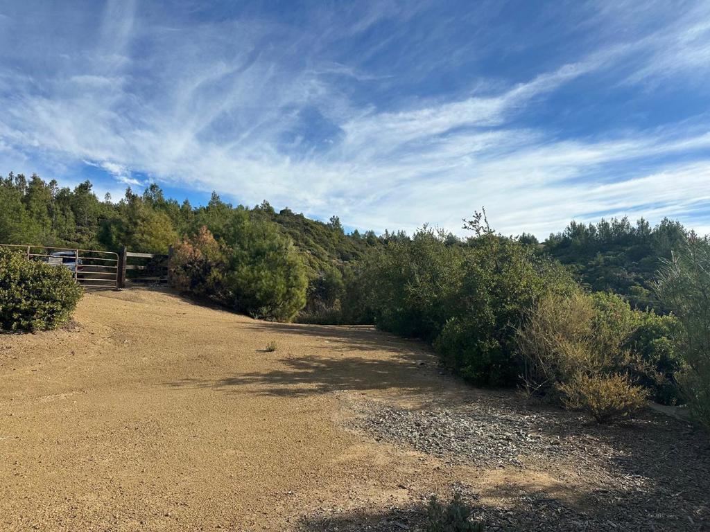 0 Ormsby Cutoff Property Photo 7