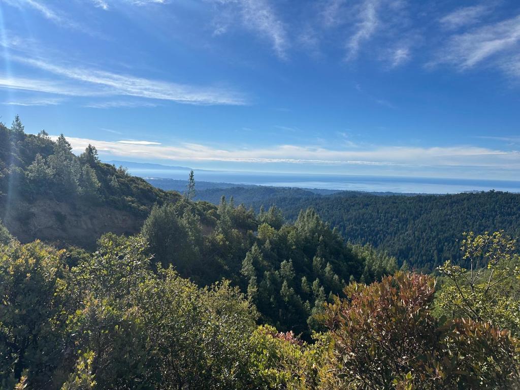 0 Ormsby Cutoff Property Photo 11