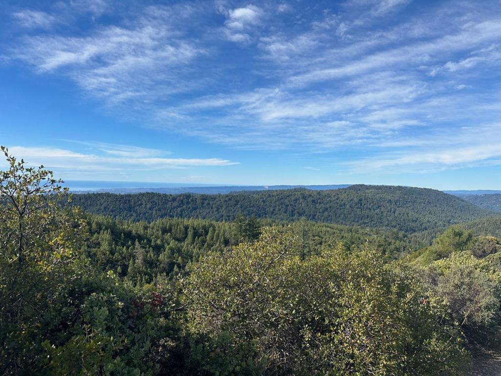 0 Ormsby Cutoff Property Photo 12