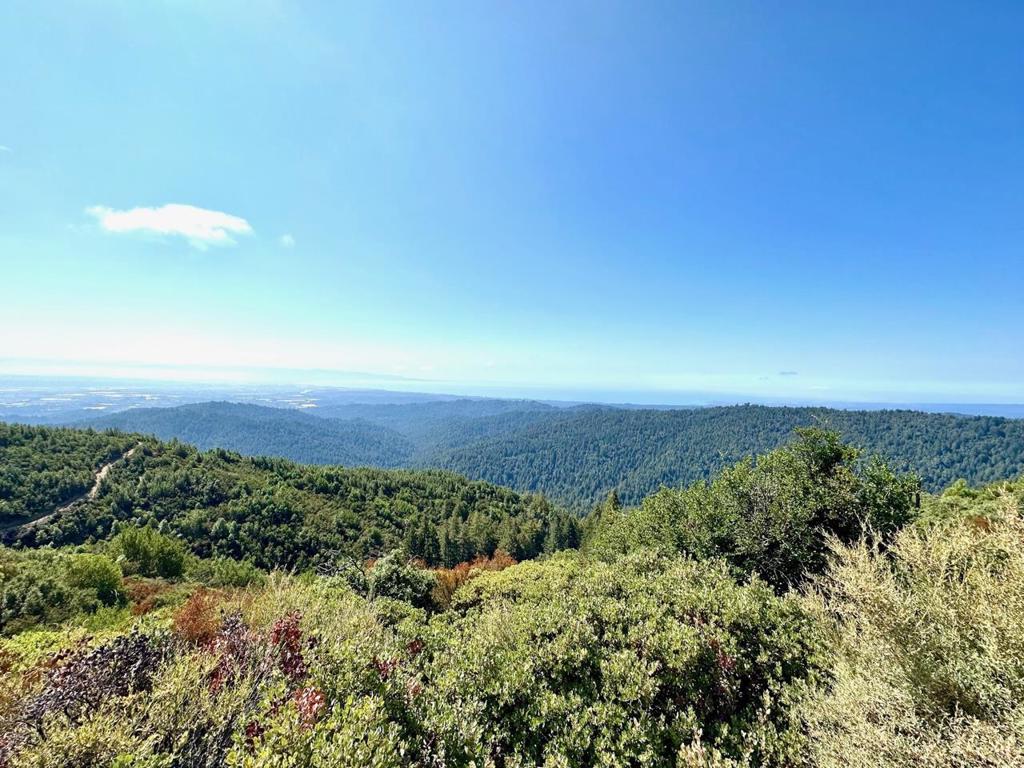 0 Ormsby Cutoff Property Photo 18