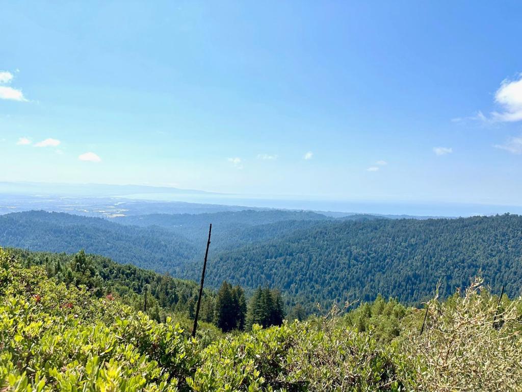 0 Ormsby Cutoff Property Photo 20