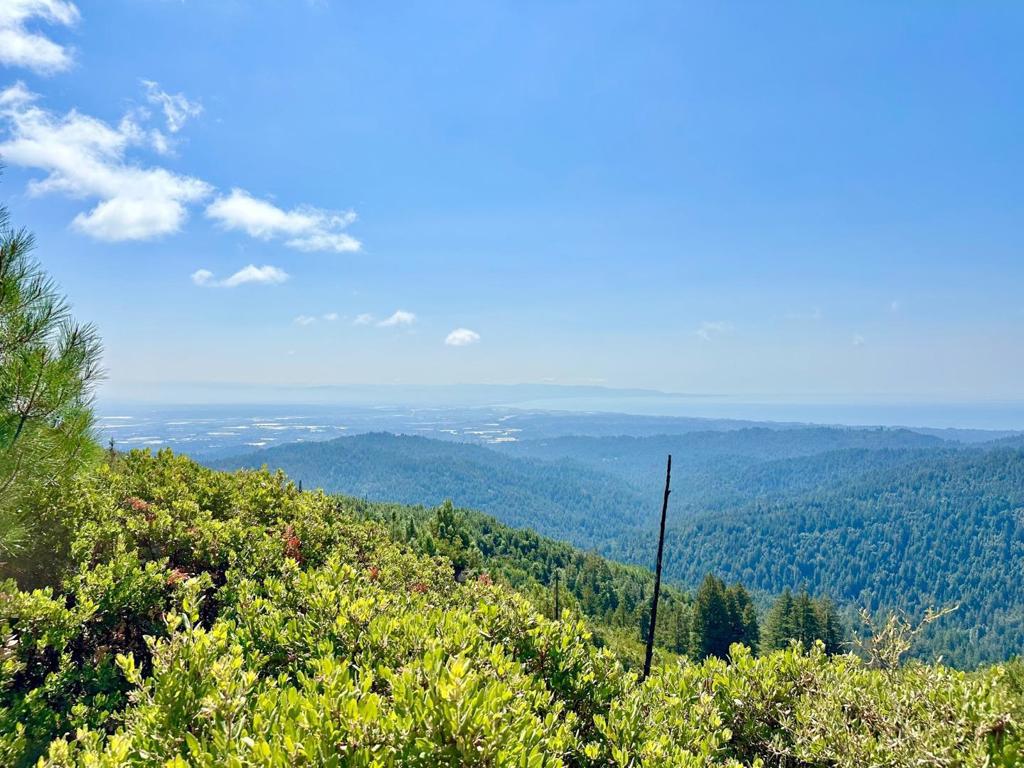 0 Ormsby Cutoff Property Photo 22