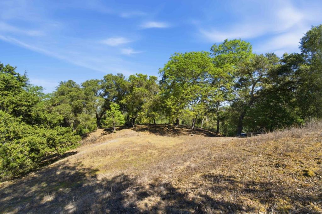 15400 Madrone Hill Road Property Photo 17