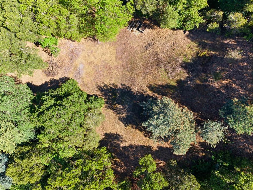 15400 Madrone Hill Road Property Photo 18