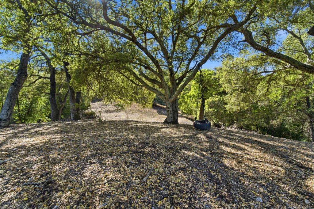 15400 Madrone Hill Road Property Photo 20