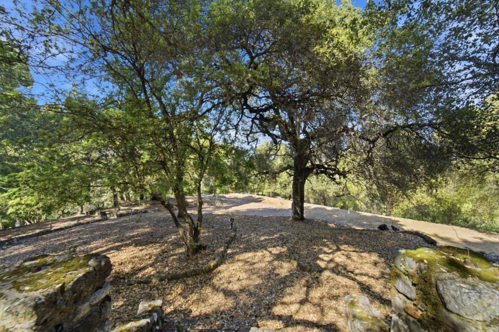 15400 Madrone Hill Road Property Photo 23
