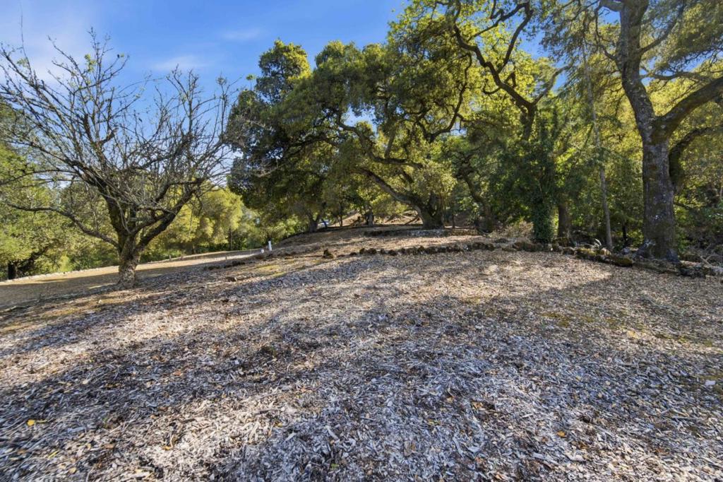 15400 Madrone Hill Road Property Photo 25