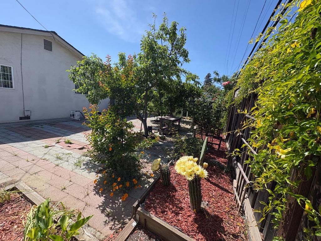 5187 Doyle Road Property Photo 19