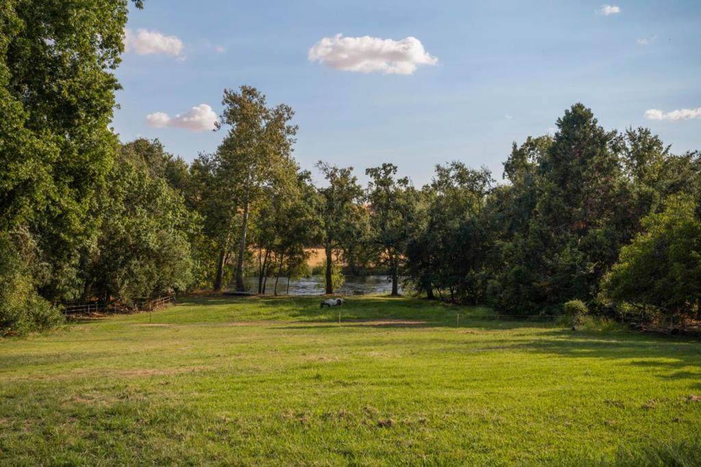 7555 Merced Falls Road Property Photo 19