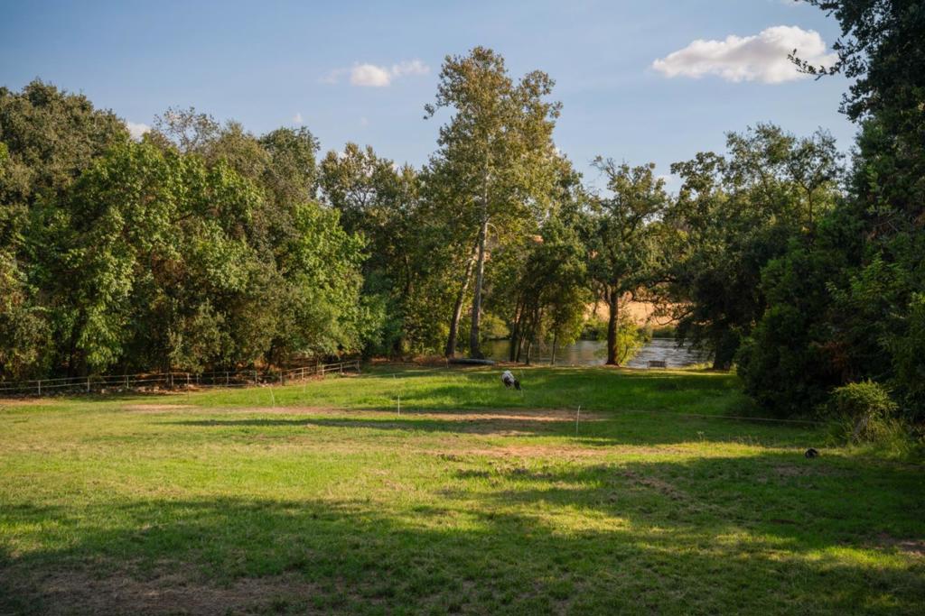 7555 Merced Falls Road Property Photo 25