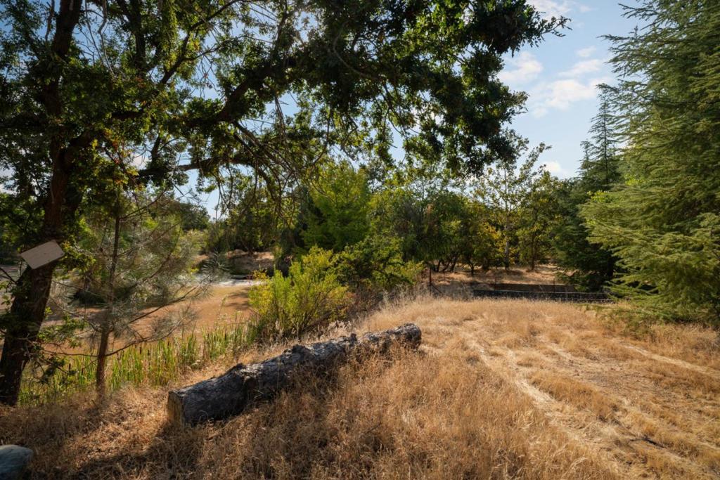 7555 Merced Falls Road Property Photo 71