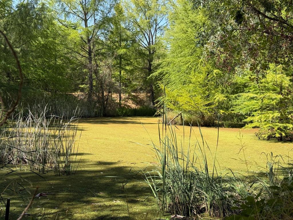7555 Merced Falls Road Property Photo 76