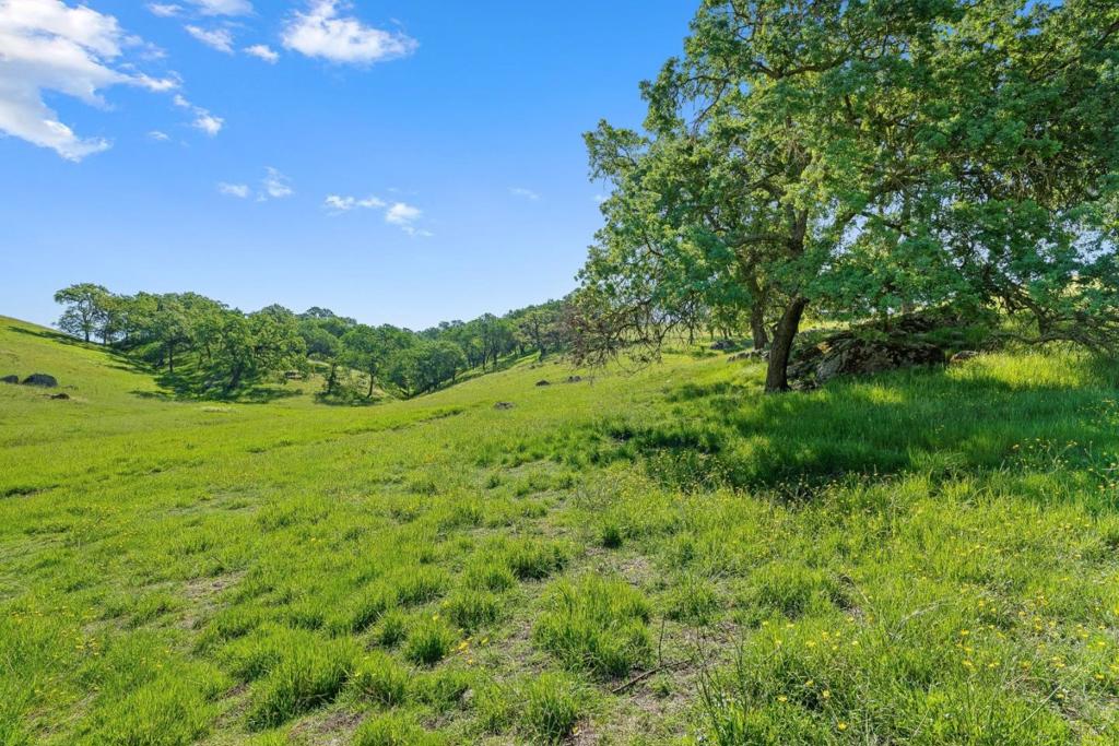 0 W San Martin Avenue Property Photo 12