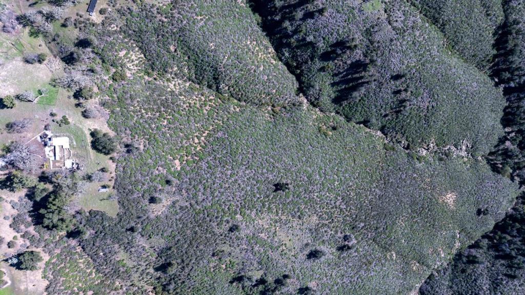 34994 Sky Ranch Road Property Photo 18
