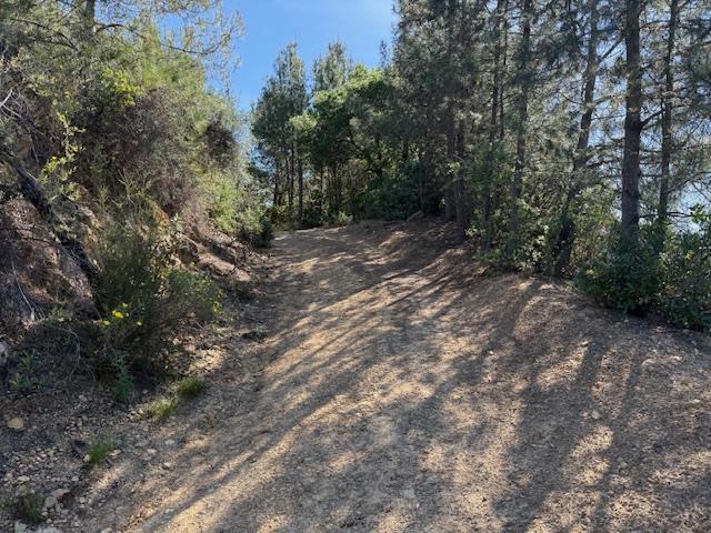 790040 Croy Road Property Photo 8
