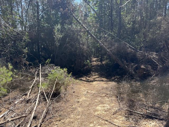 790040 Croy Road Property Photo 13