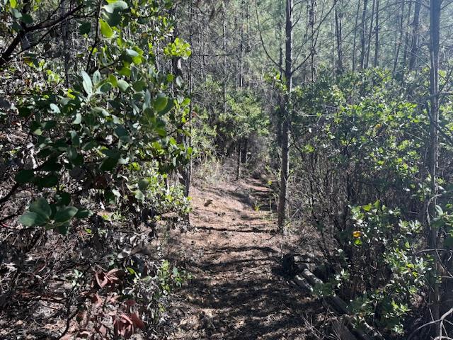 790040 Croy Road Property Photo 29