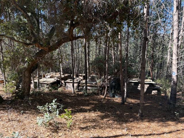 790040 Croy Road Property Photo 32