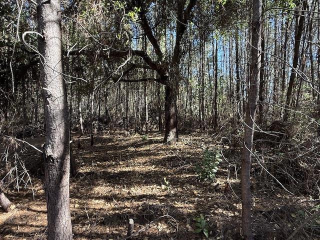 790040 Croy Road Property Photo 34