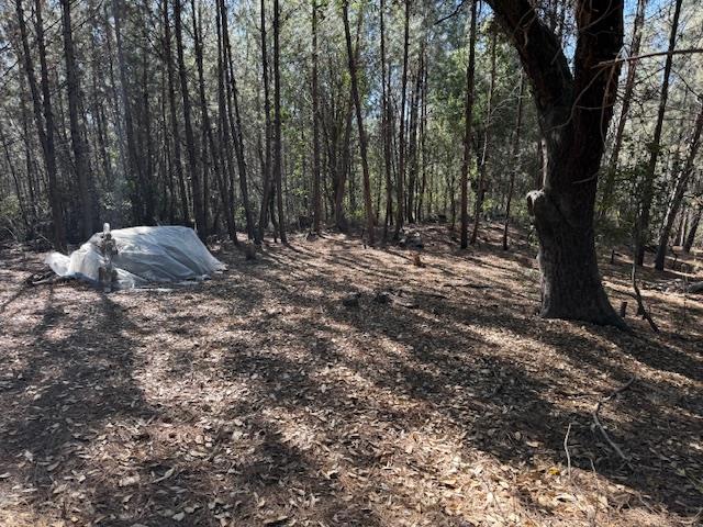 790040 Croy Road Property Photo 35