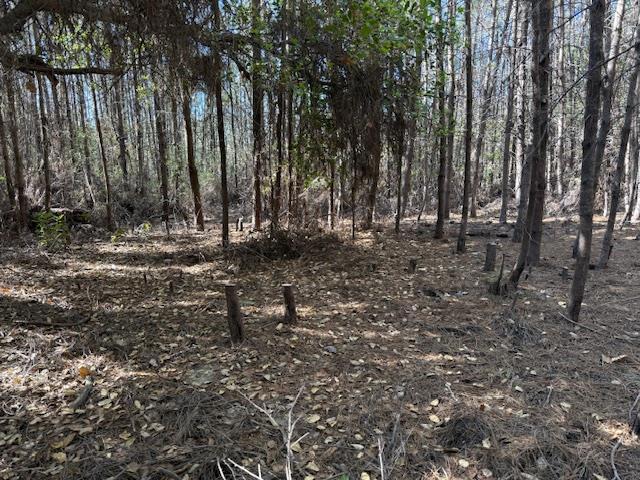 790040 Croy Road Property Photo 36