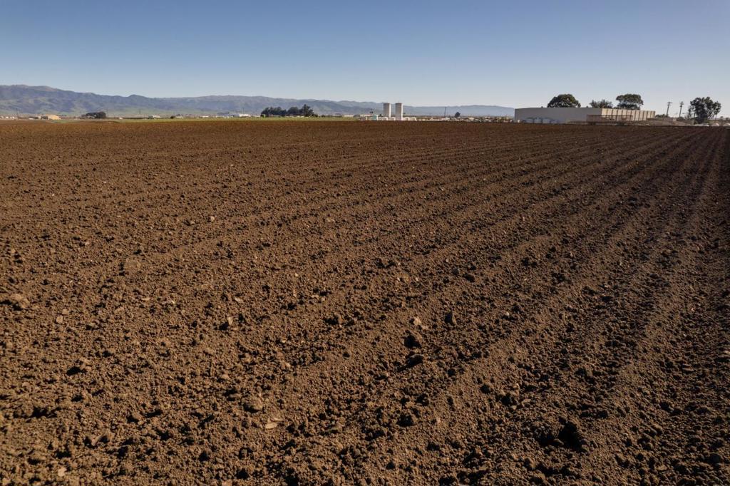 ML82040178 Property Photo 6