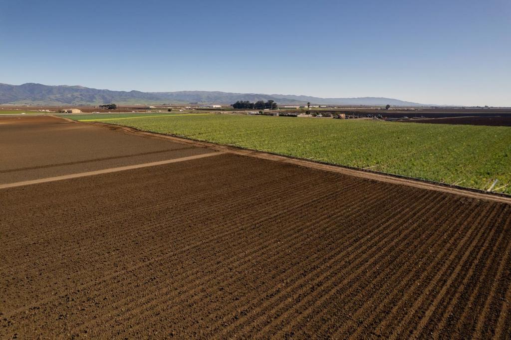 ML82040178 Property Photo 7