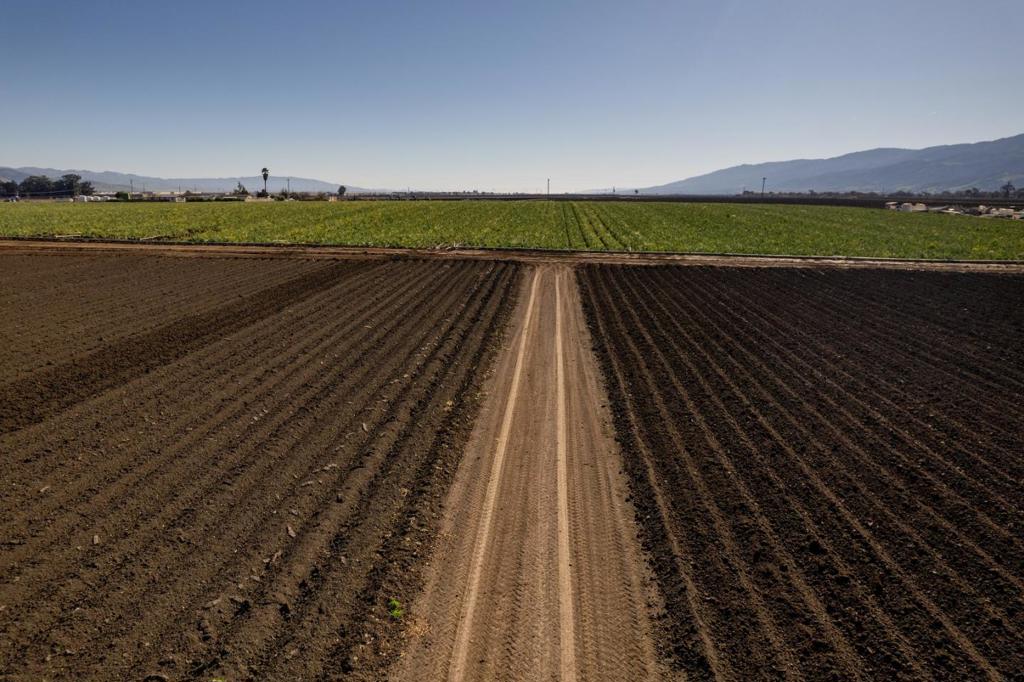 ML82040178 Property Photo 8