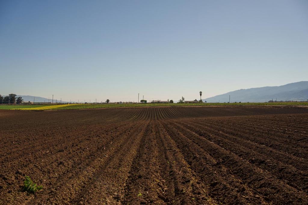 ML82040178 Property Photo 13