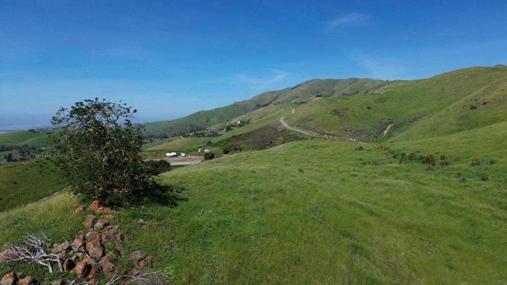 3463 Calaveras Road Property Photo 8