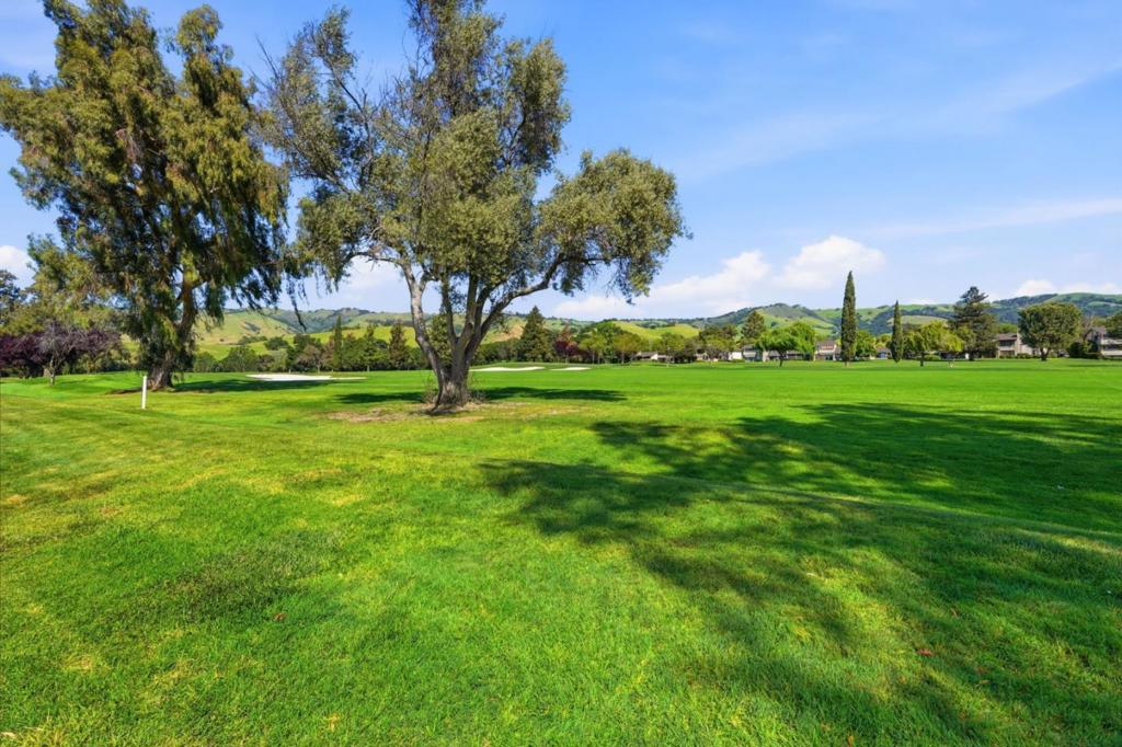 5054 Cribari Vale Property Photo 28
