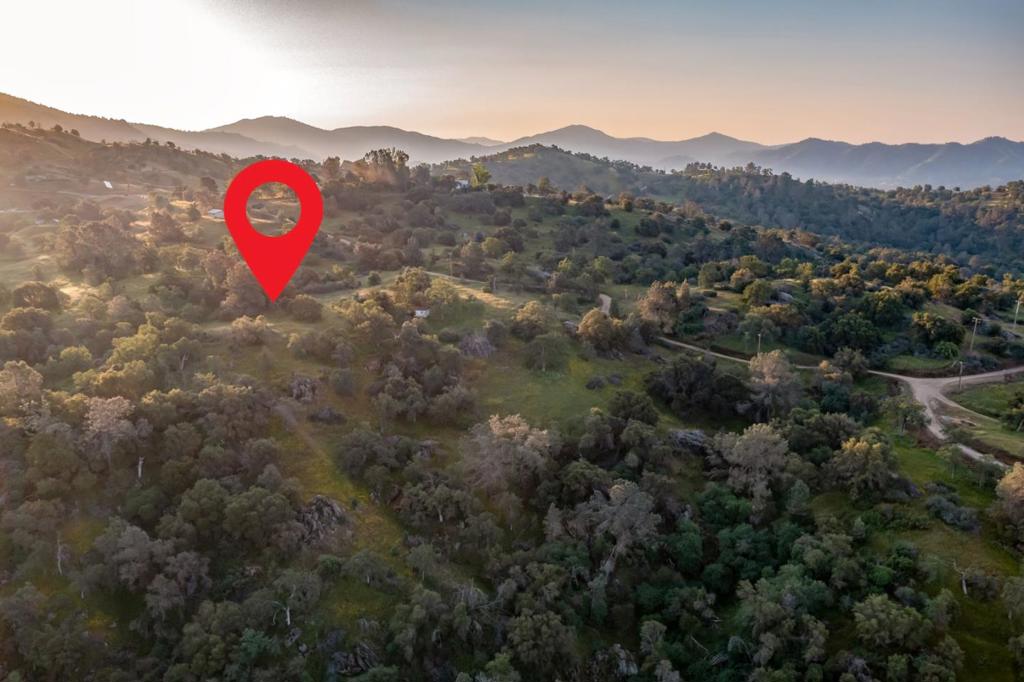 13804205 Pennyroyal Lane Property Photo 1