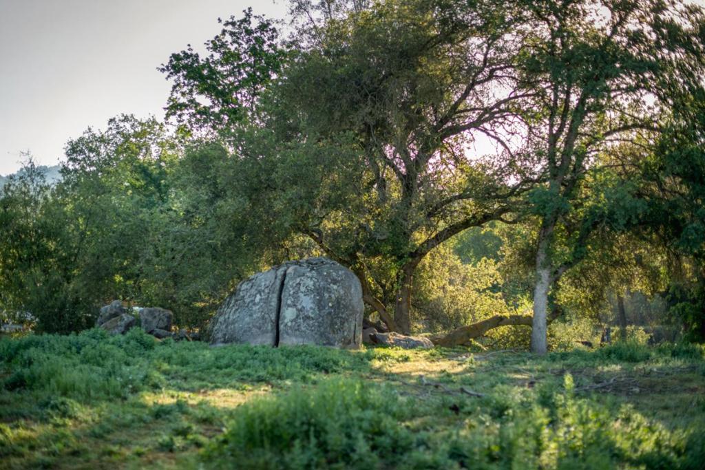 13804205 Pennyroyal Lane Property Photo 3