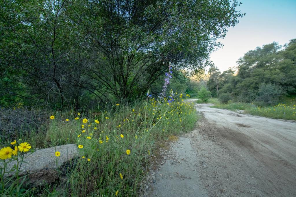 13804205 Pennyroyal Lane Property Photo 4