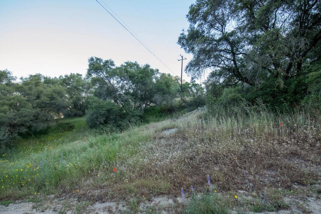 13804205 Pennyroyal Lane Property Photo 5