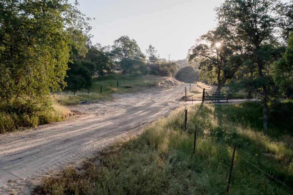 13804205 Pennyroyal Lane Property Photo 7