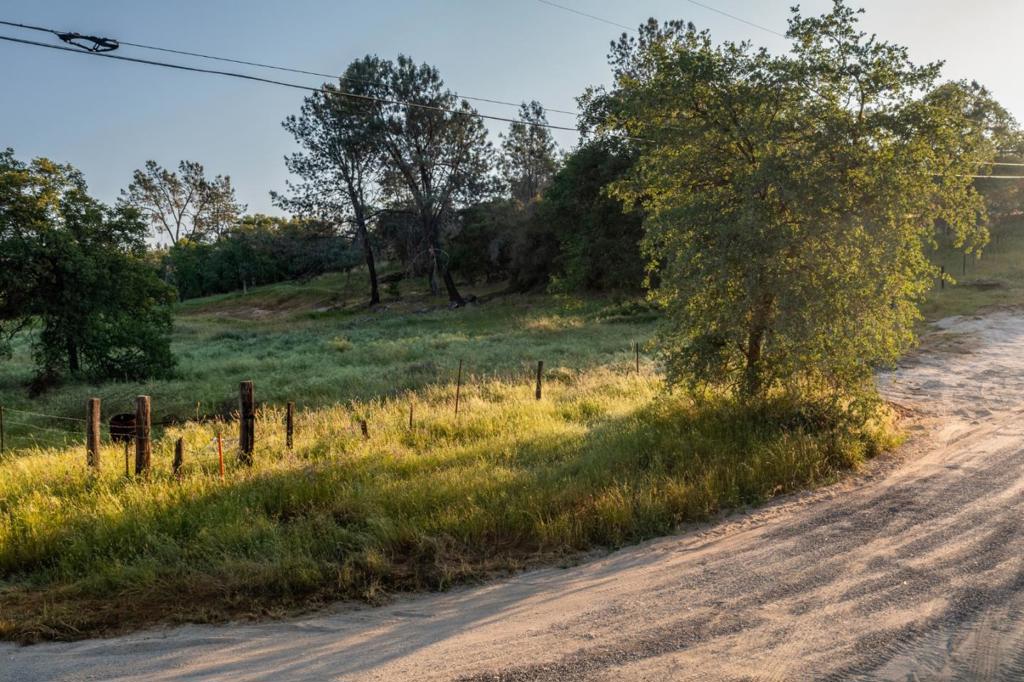 13804205 Pennyroyal Lane Property Photo 8